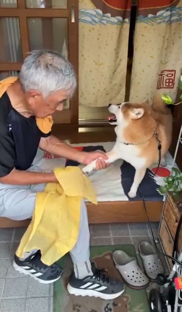 おじいちゃんと富士くん④（＠yamada_fuji_さんより提供）