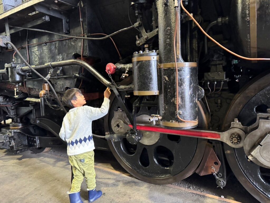 【実際の写真】息子さんが準備したつまらないもの