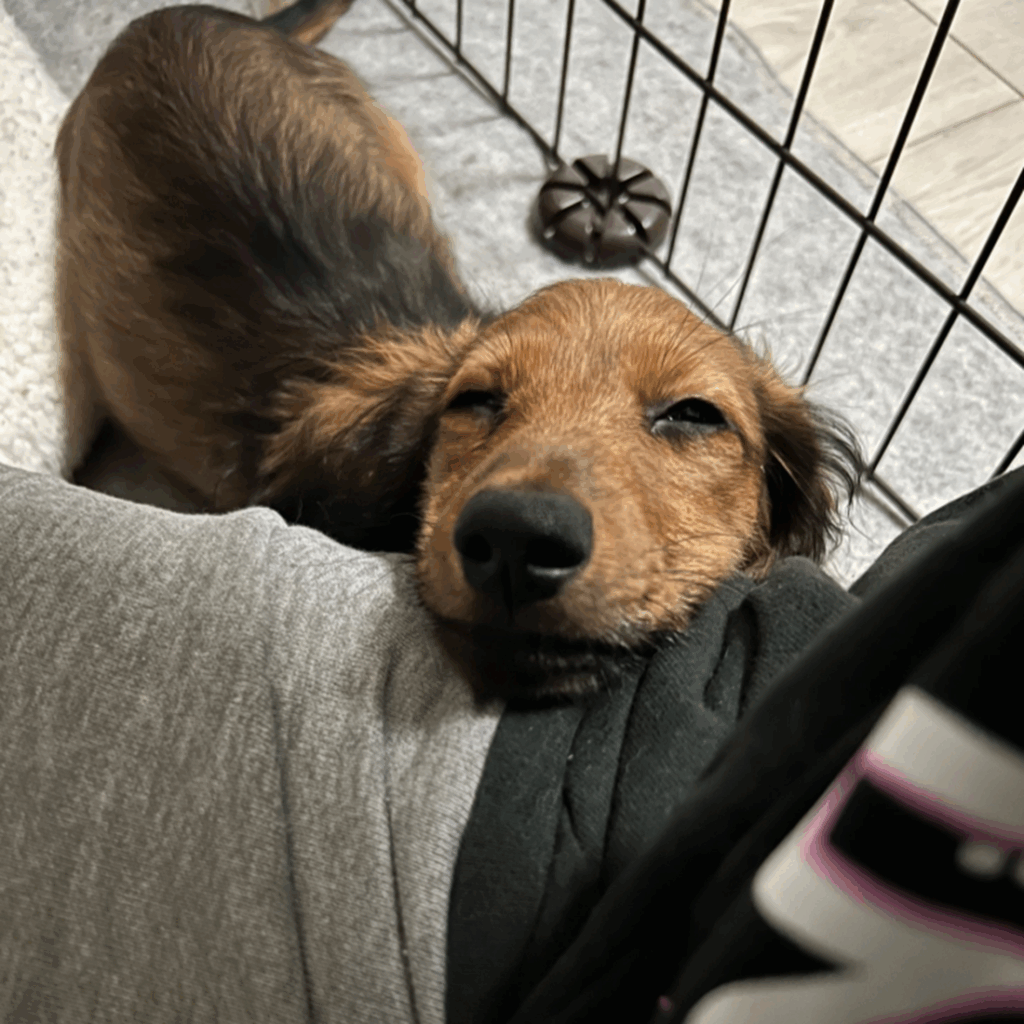 髪が寝ているときも（＠okoge0822さんより提供）