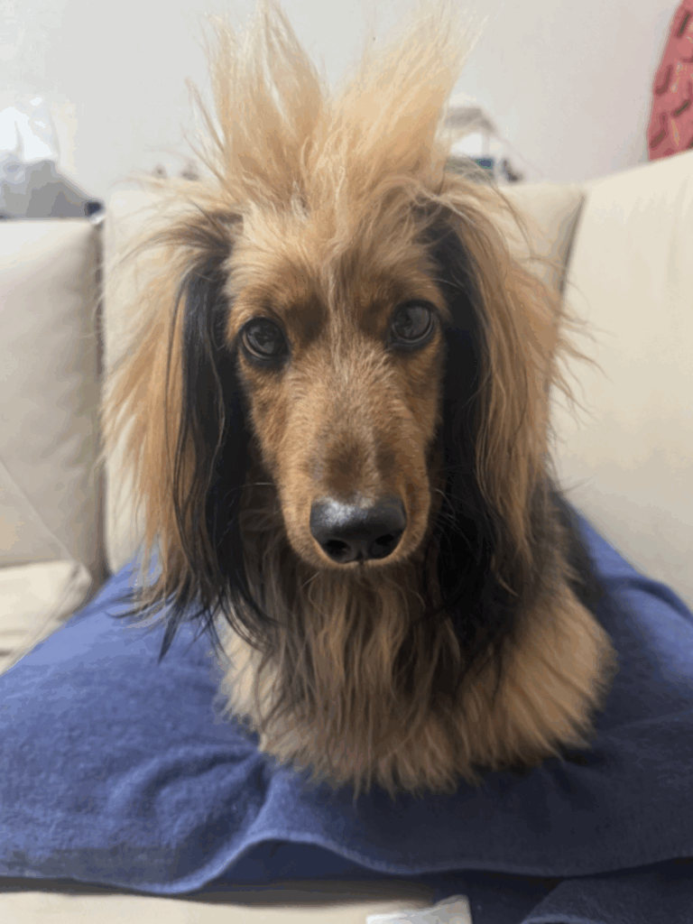 これからの成長も楽しみ（＠okoge0822さんより提供）