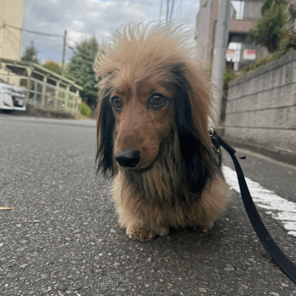 風に髪がなびいてる！（＠okoge0822さんより提供）