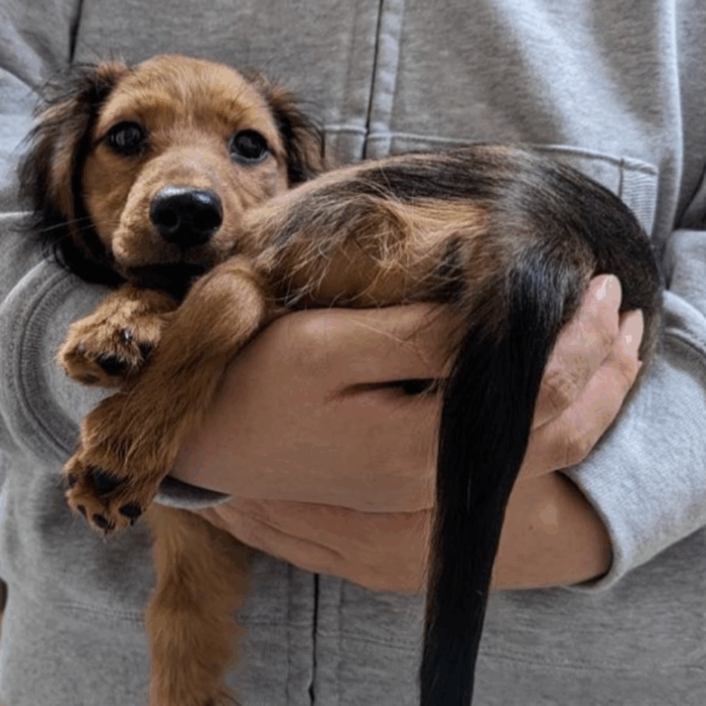 【実際の写真】3年後の姿