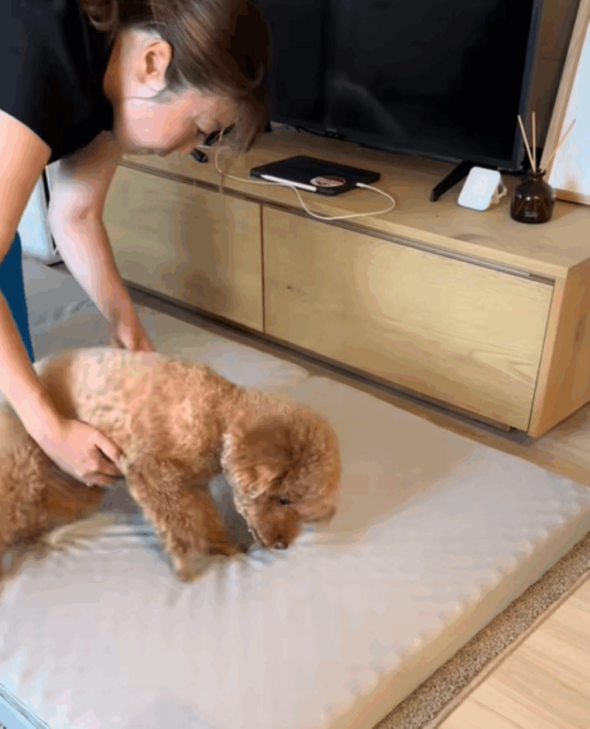 体を起こされるレオくん②（＠leo__821さんより提供）