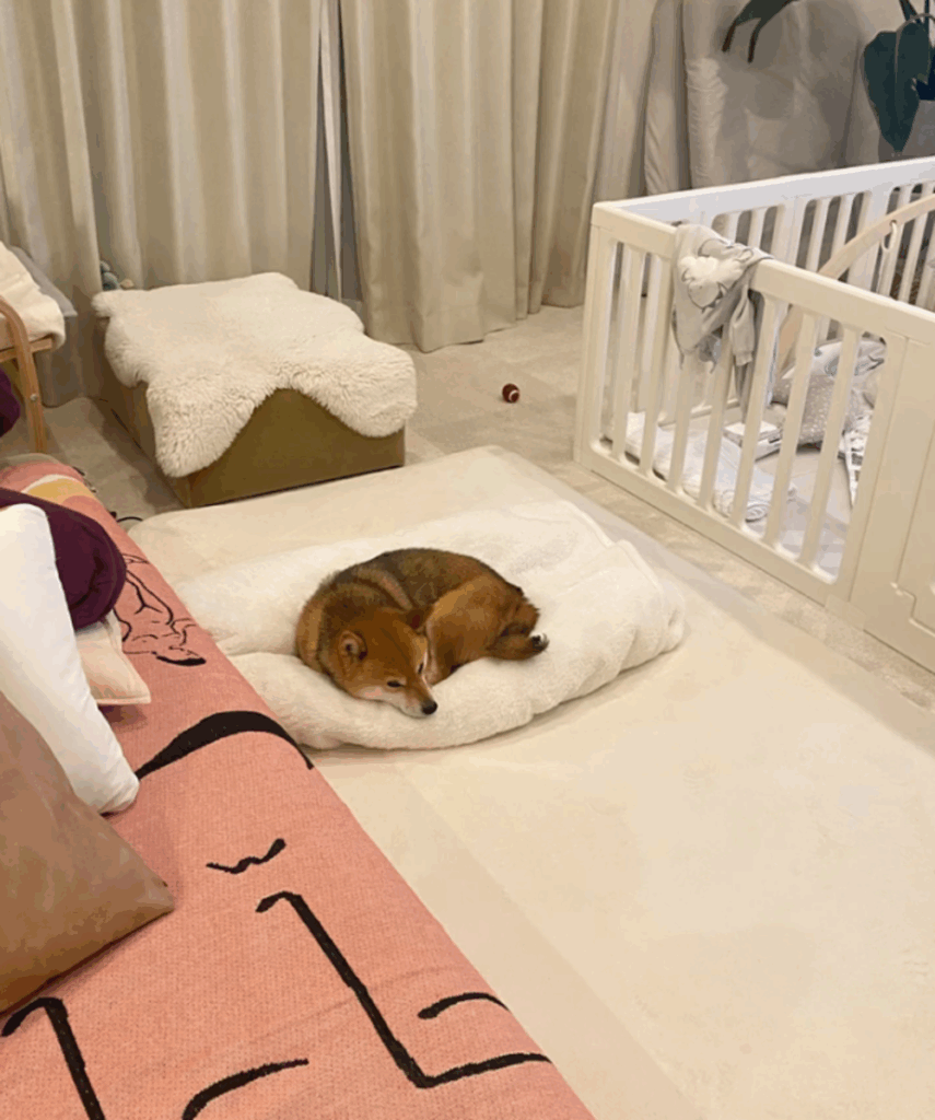 気持ちよさそう（@misonatsumeさんより提供）