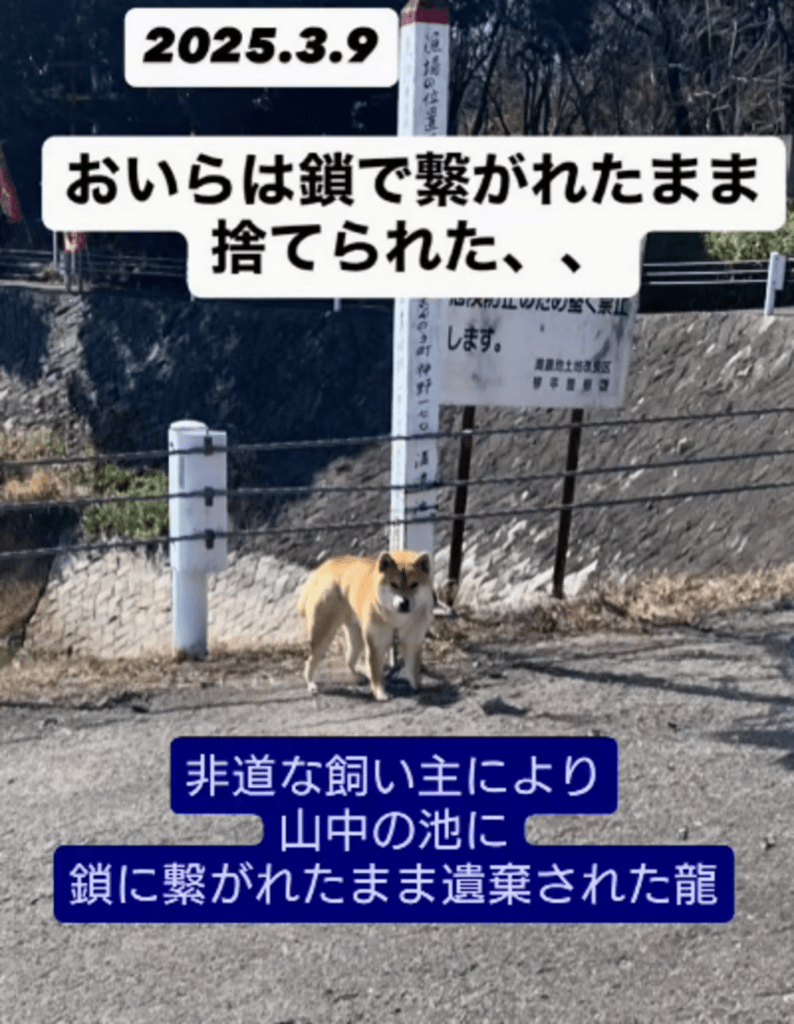 池のほとりに繋がれたまま…（@ryu_ryu_7105さんより提供）