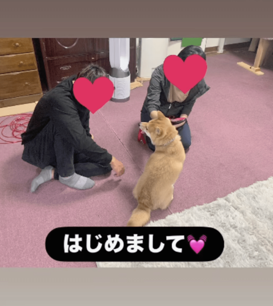 飼い主さんたちと初対面（保護主meguさんより提供）