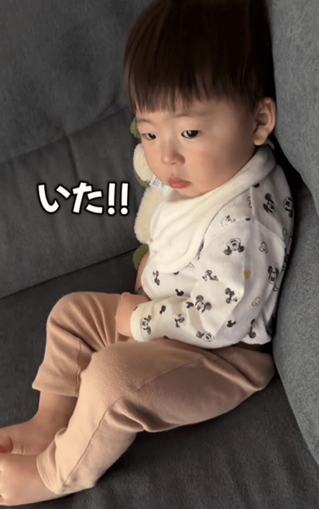 【実際の写真】息子さんが見ていたモノ