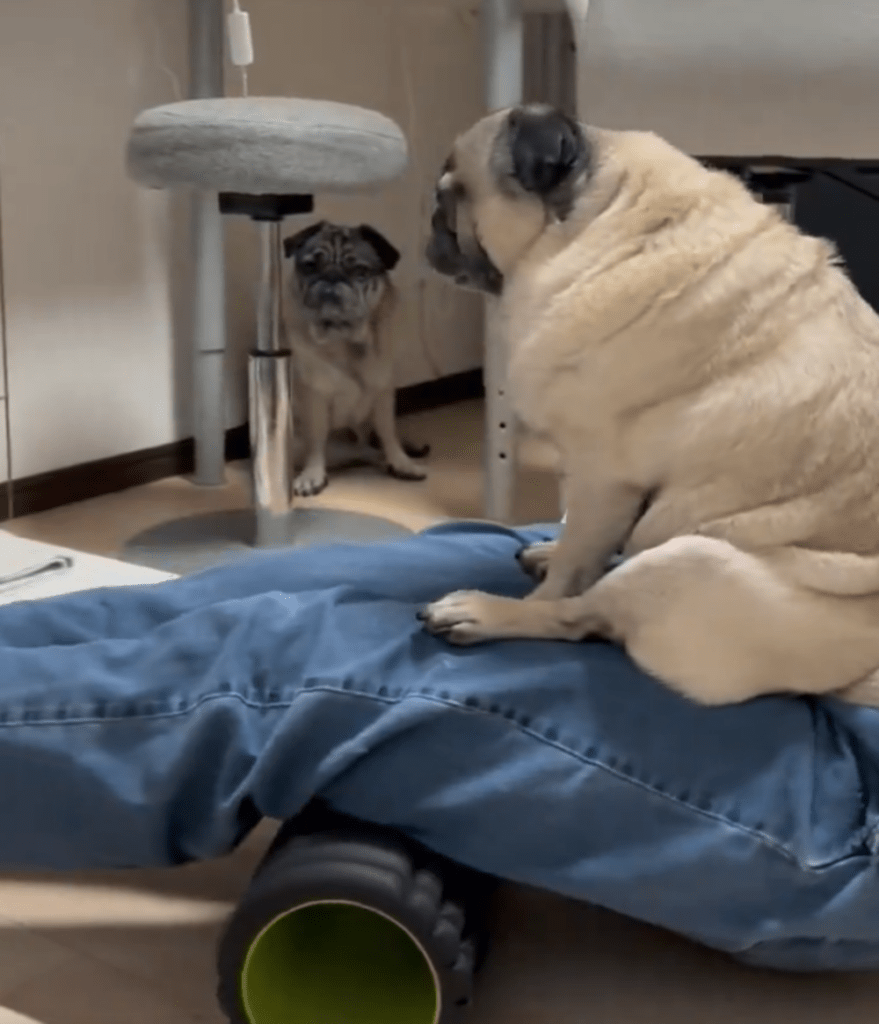 2年前からずっとこの調子（@yutesaiさんより提供）