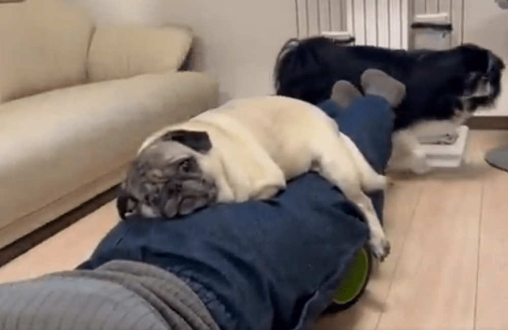 【実際の写真】違和感の正体