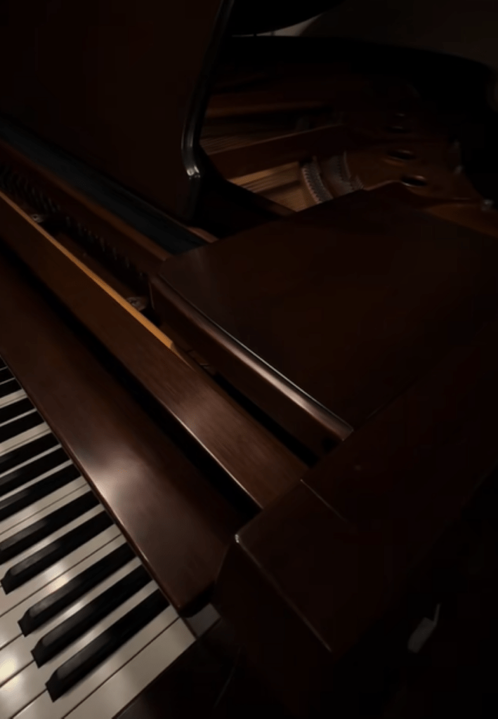 【実際の写真】投稿者さんが購入したもの