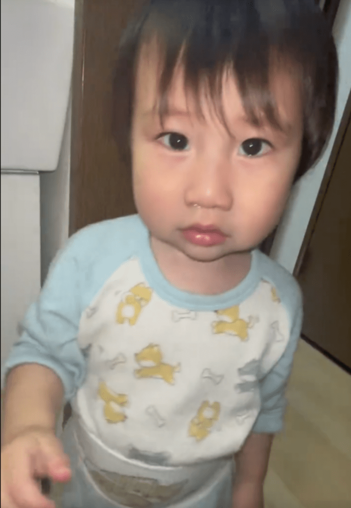 大人しくママへ返却（@ta629826さんより提供）