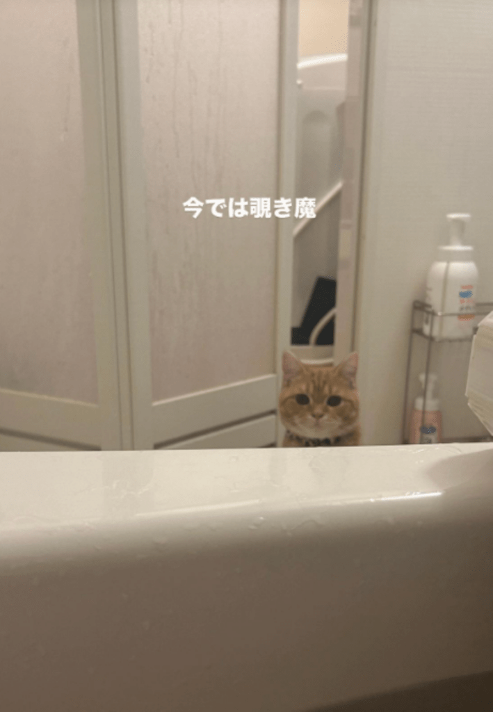 お風呂まで見にくるむぎくん（＠wanwandesu1さんより提供）