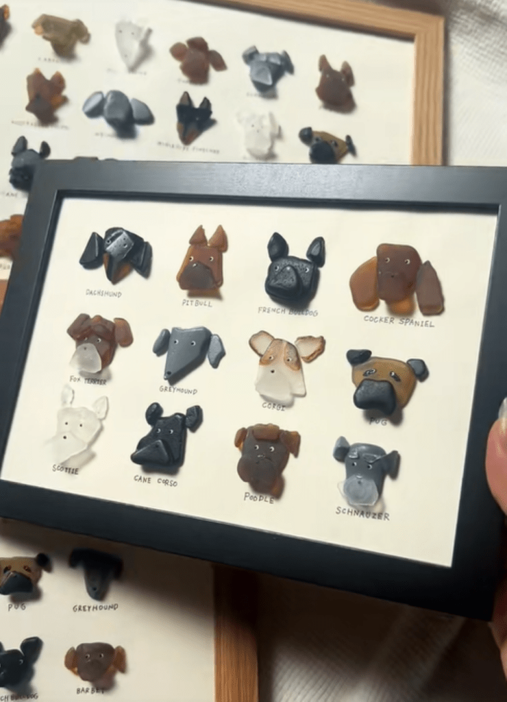 色のバランスやつぶらな目がポイント（＠sea_skkuさんより提供）