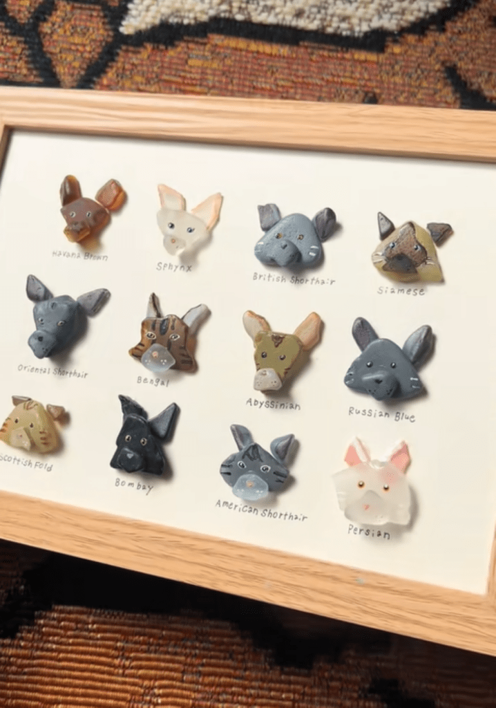 猫ちゃん図鑑（＠sea_skkuさんより提供）