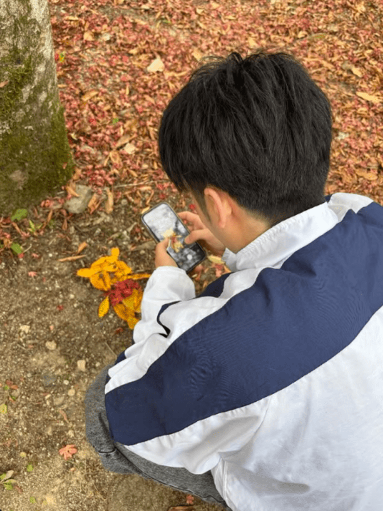 落葉で作っていたのは…？（@kohatasuzuさんより提供）