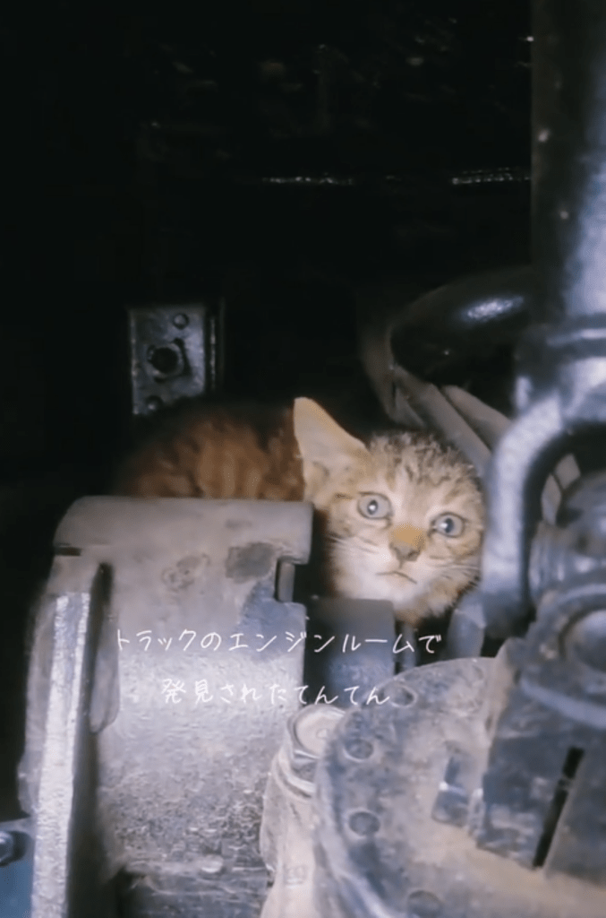 【実際の写真】現在の様子