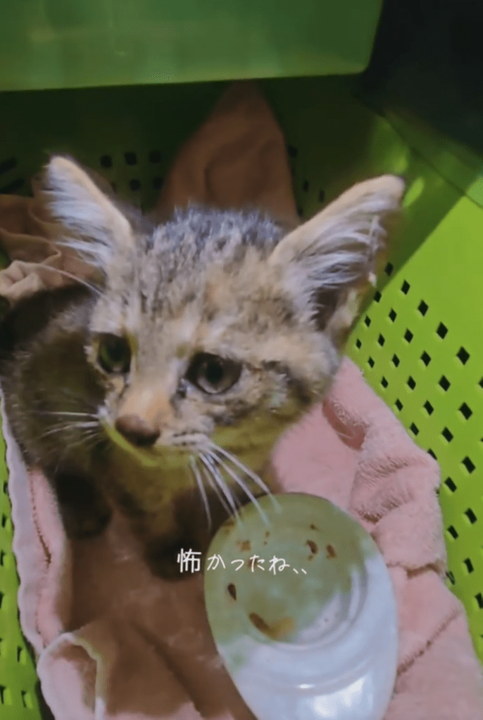 ひとまずご飯を完食（＠chacha.ma.maさんより提供）