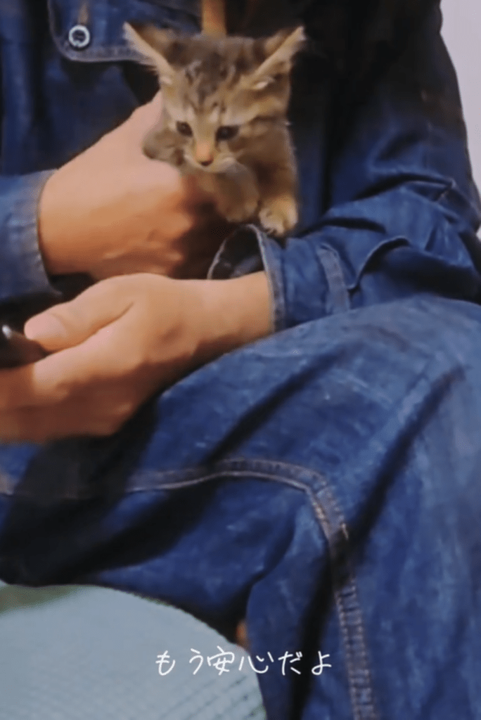 片手で抱っこできる小さな体（＠chacha.ma.maさんより提供）