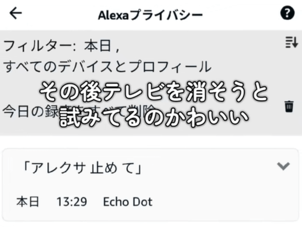 テレビを消すよう音声アシスタントに指示（＠popotanyipさんより提供）