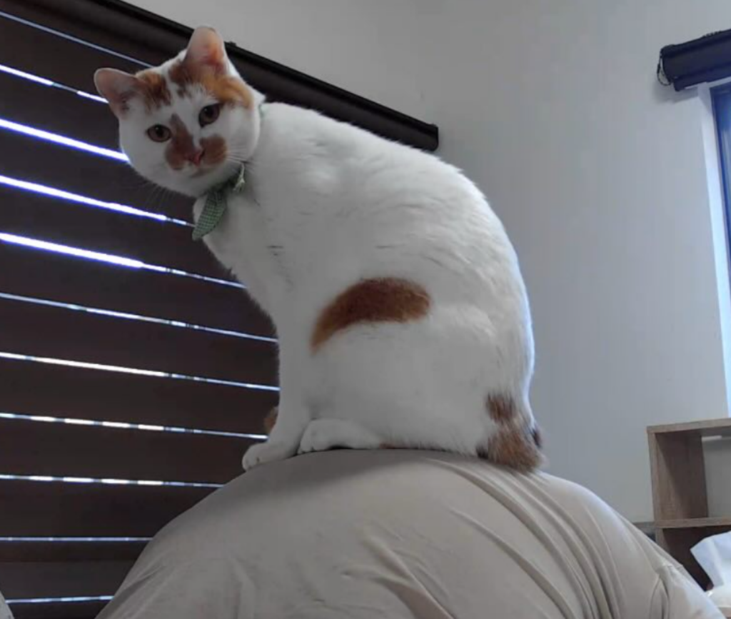 乗っているのは…！？（@a.iiharaさんより提供）