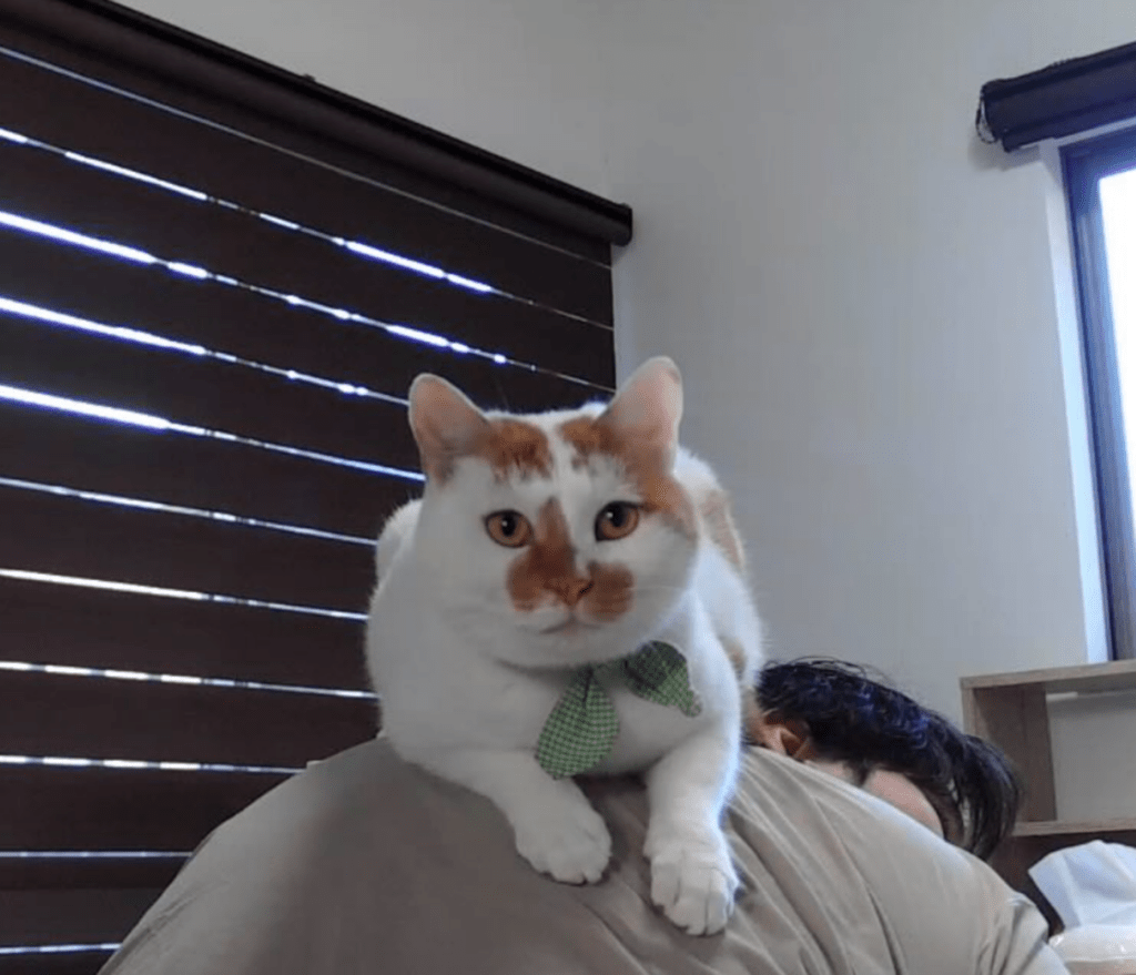 旦那さんの背中に乗っていました（@a.iiharaさんより提供）