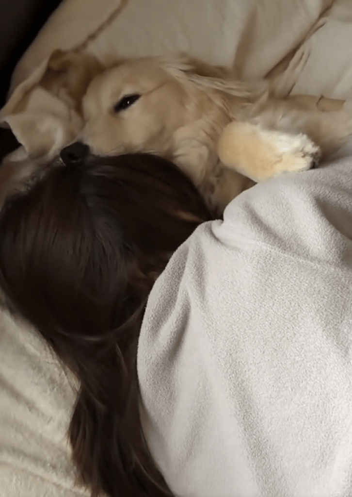 居場所を奪われた！？（@dawn_donchanさんより提供）