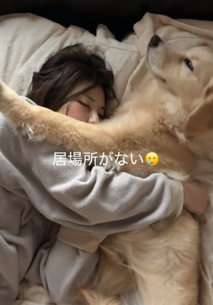 奥さんと一緒に眠るのは…（@dawn_donchanさんより提供）