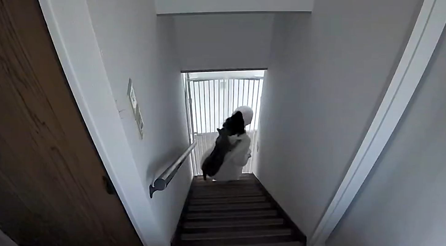 朝起きて階段を降りる女性の背後に違和感。よく見ると…違和感の正体に「リュックかと思ったら」「え、可愛い…涙」