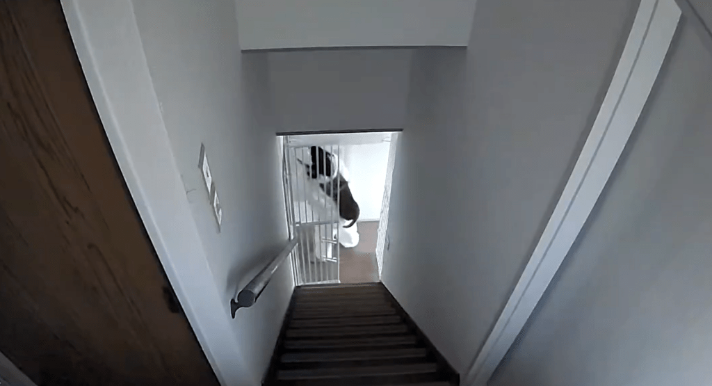 【実際の写真】違和感の正体