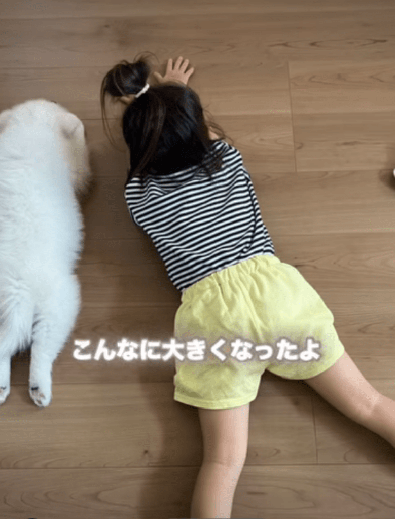 生後2ヶ月のパフくん（＠puff__0603さんより提供）