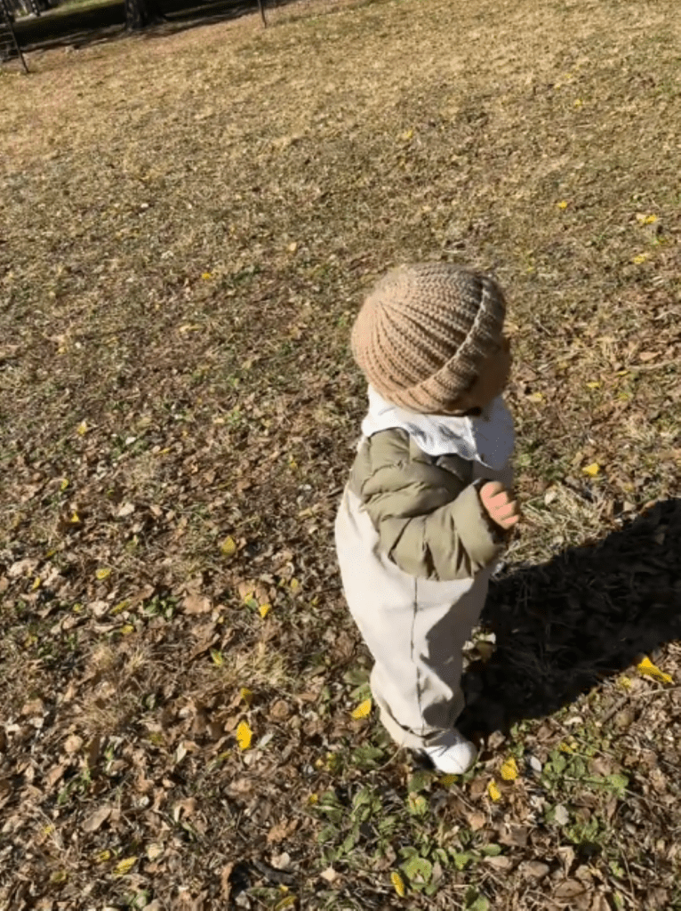 【実際の写真】1年後の姿