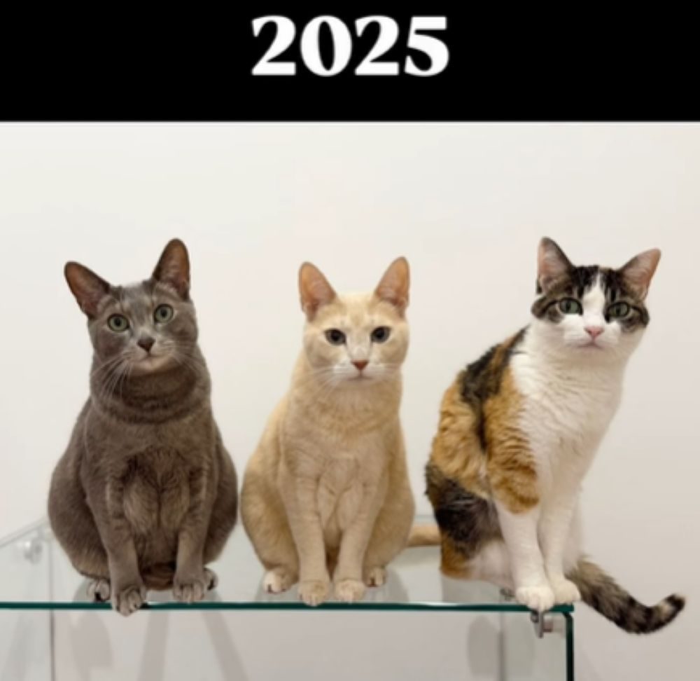 2025年の様子（＠mochimochi_brothersさんより提供）