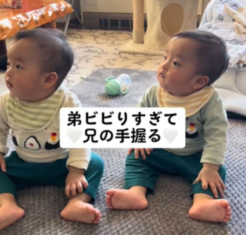 【実際の写真】尊すぎる2人の様子