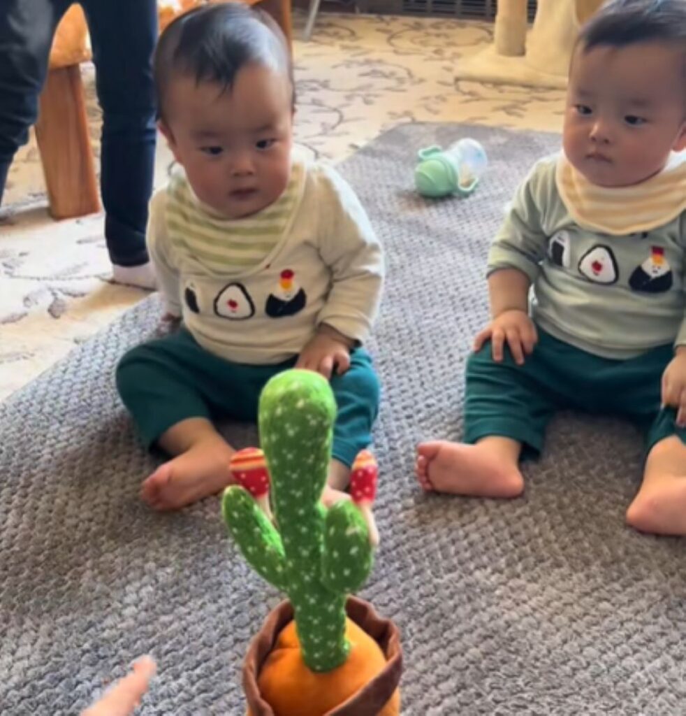 じっと見つめるお子さんたち（＠ao_sora_sさんより提供）