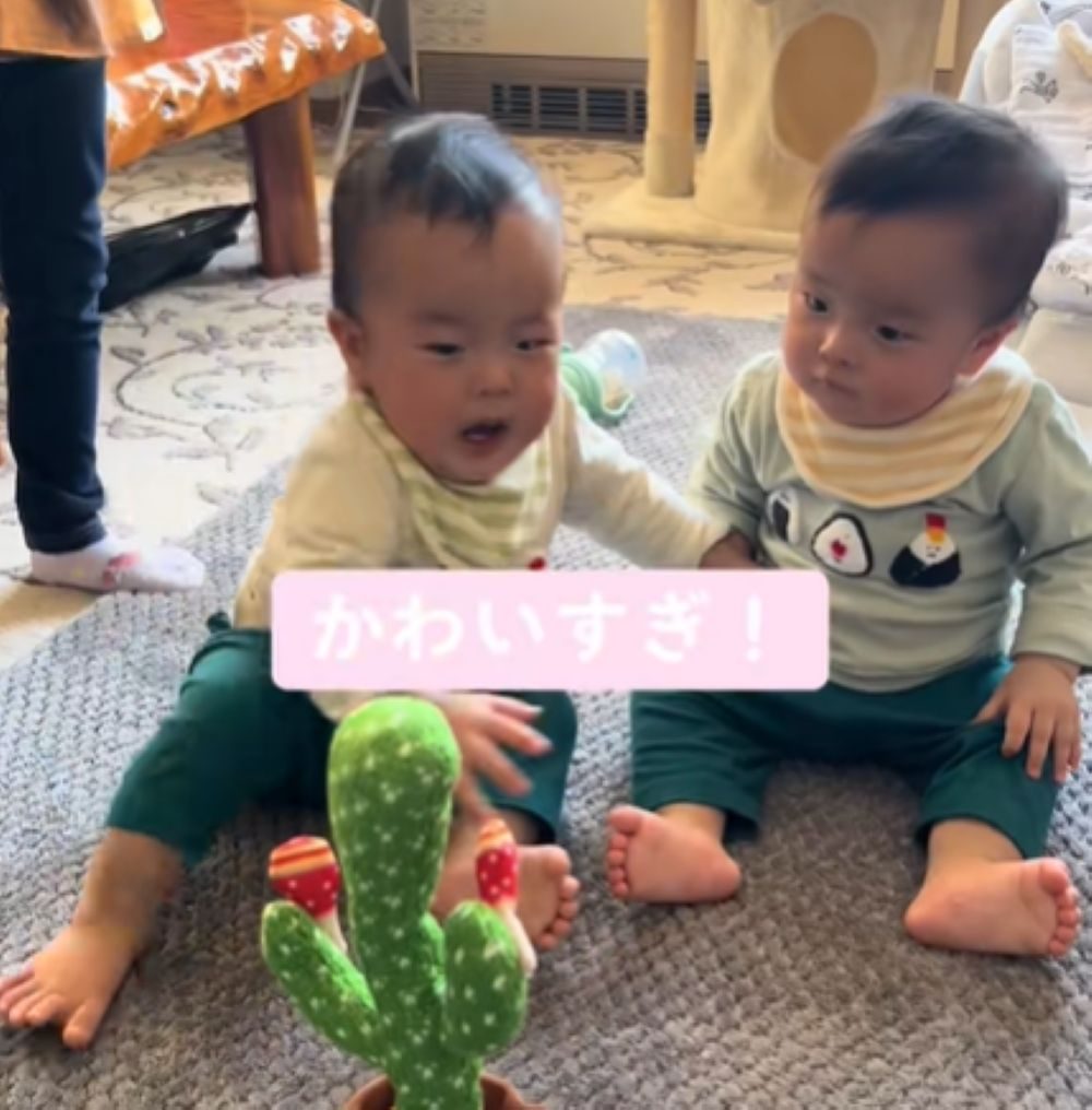 お兄ちゃんに助けを求めます（＠ao_sora_sさんより提供）