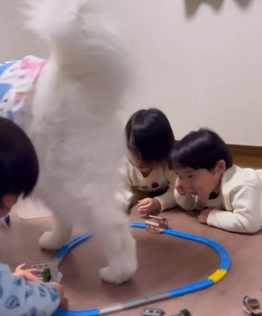 気にしていない子どもたち（＠komaci20さんより提供）