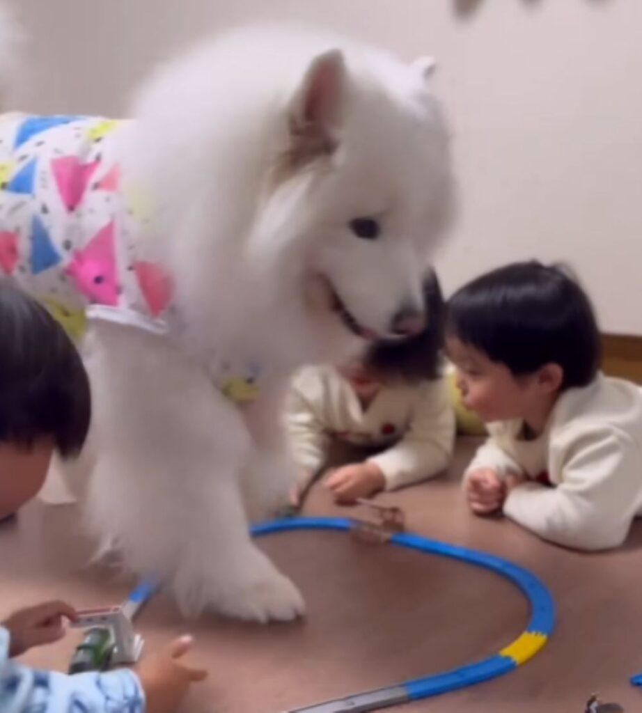 再び真ん中を通ります（＠komaci20さんより提供）