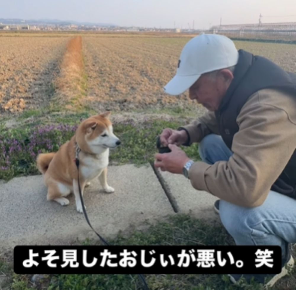 【実際の写真】愛犬が取ったまさかの行動