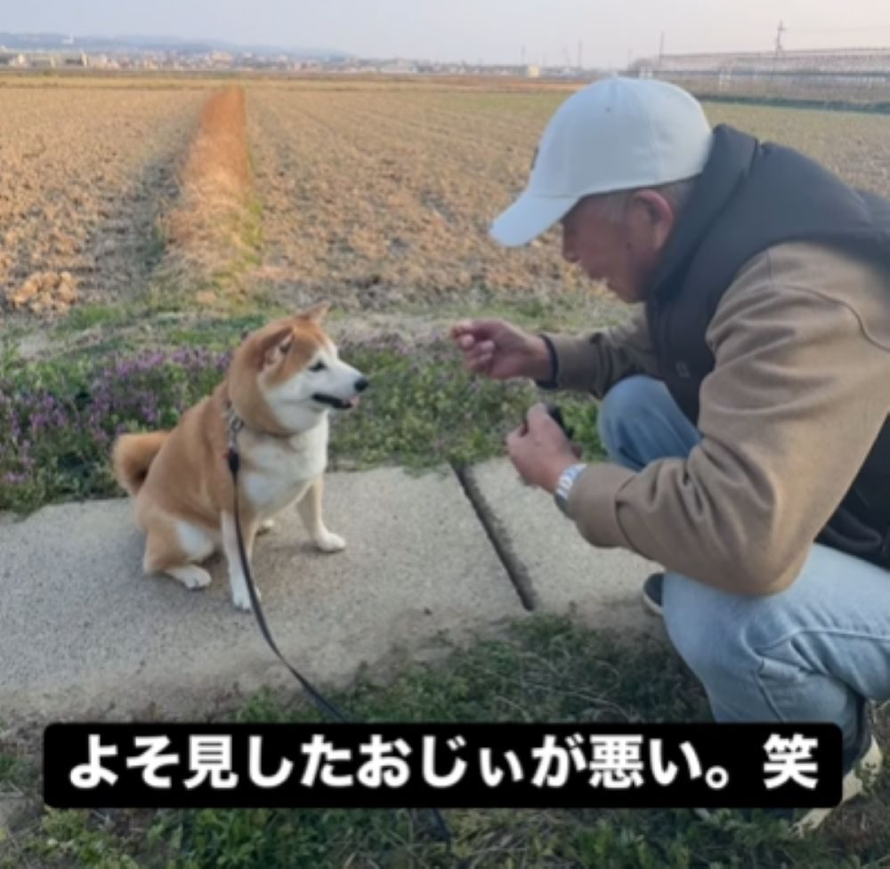 「待て」とおじいちゃん（＠yamada_fuji_さんより提供）