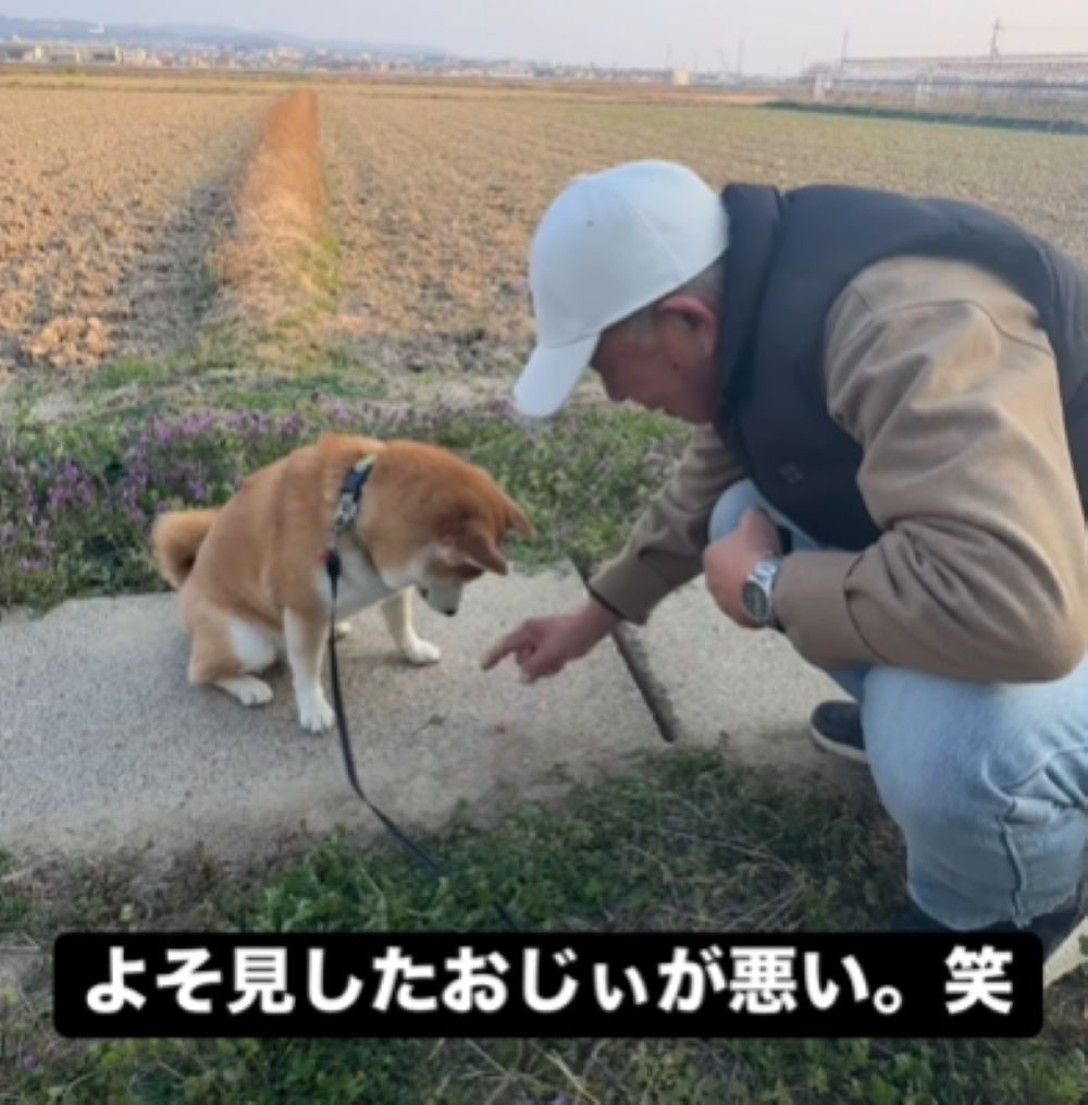 じっと待つ富士くん（＠yamada_fuji_さんより提供）