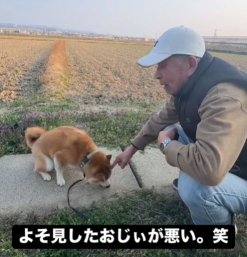 おじいちゃんがよそ見すると…（＠yamada_fuji_さんより提供）