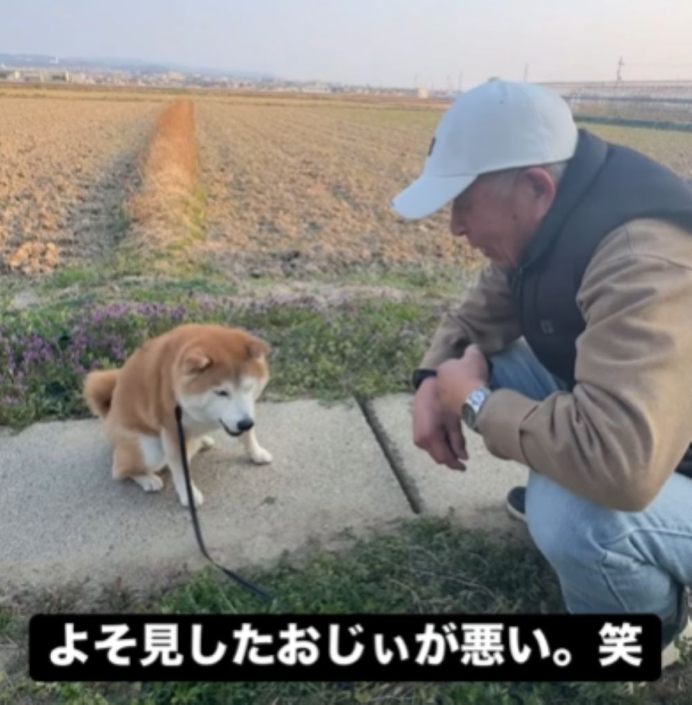 隙を見て食べてしまいました（＠yamada_fuji_さんより提供）