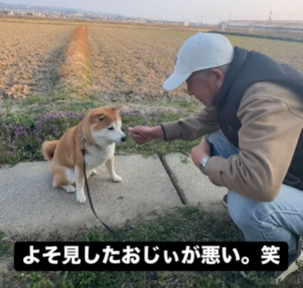 コントのようなやり取り（＠yamada_fuji_さんより提供）