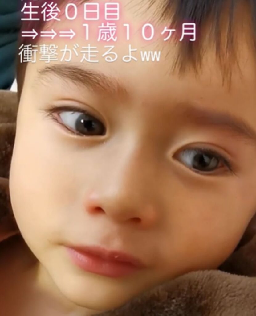 【実際の写真】現在の様子