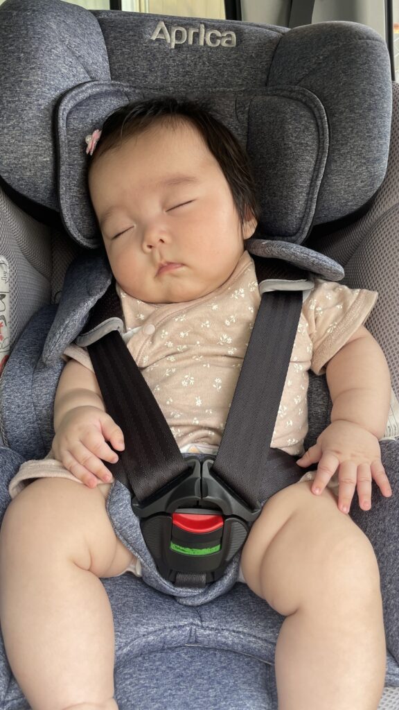 【実際の写真】視線の正体