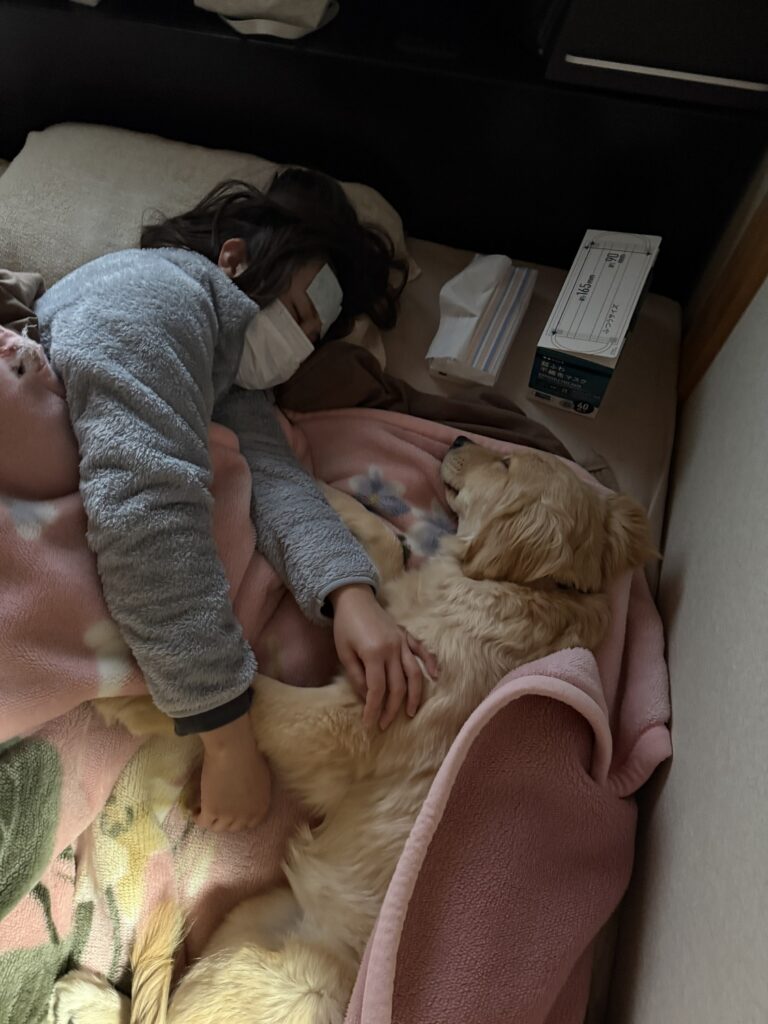 普段のドンちゃんの様子②（@dawn_donchanさんより提供）