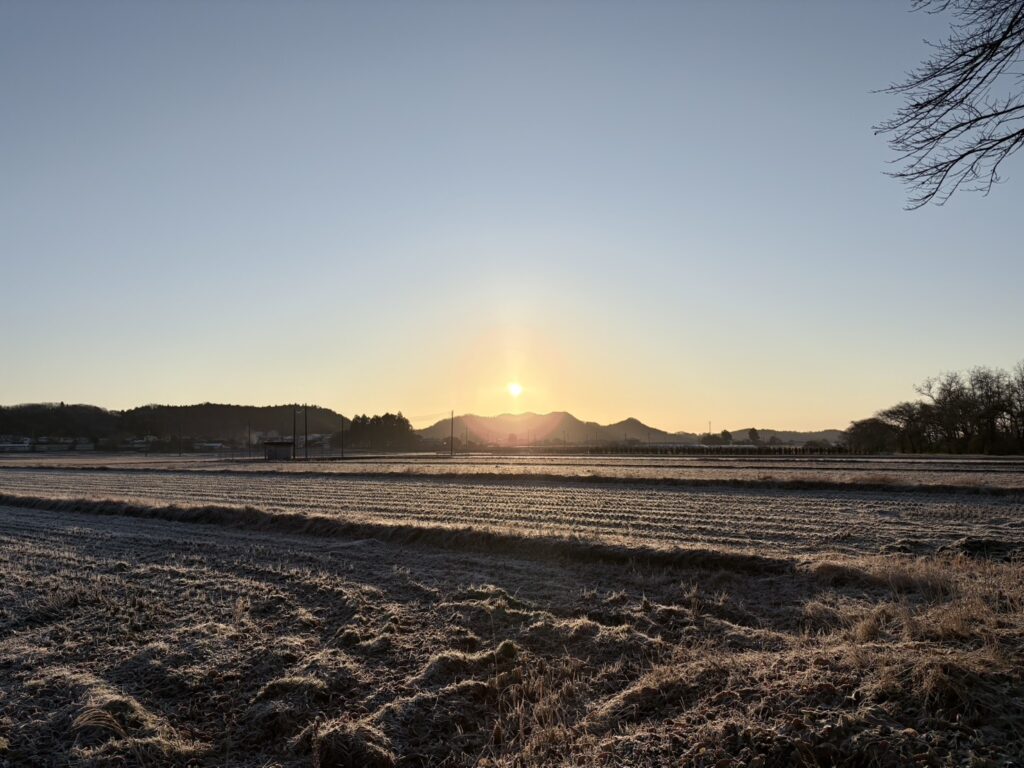 朝ウォーキングの写真（＠kuma5571さんより提供）
