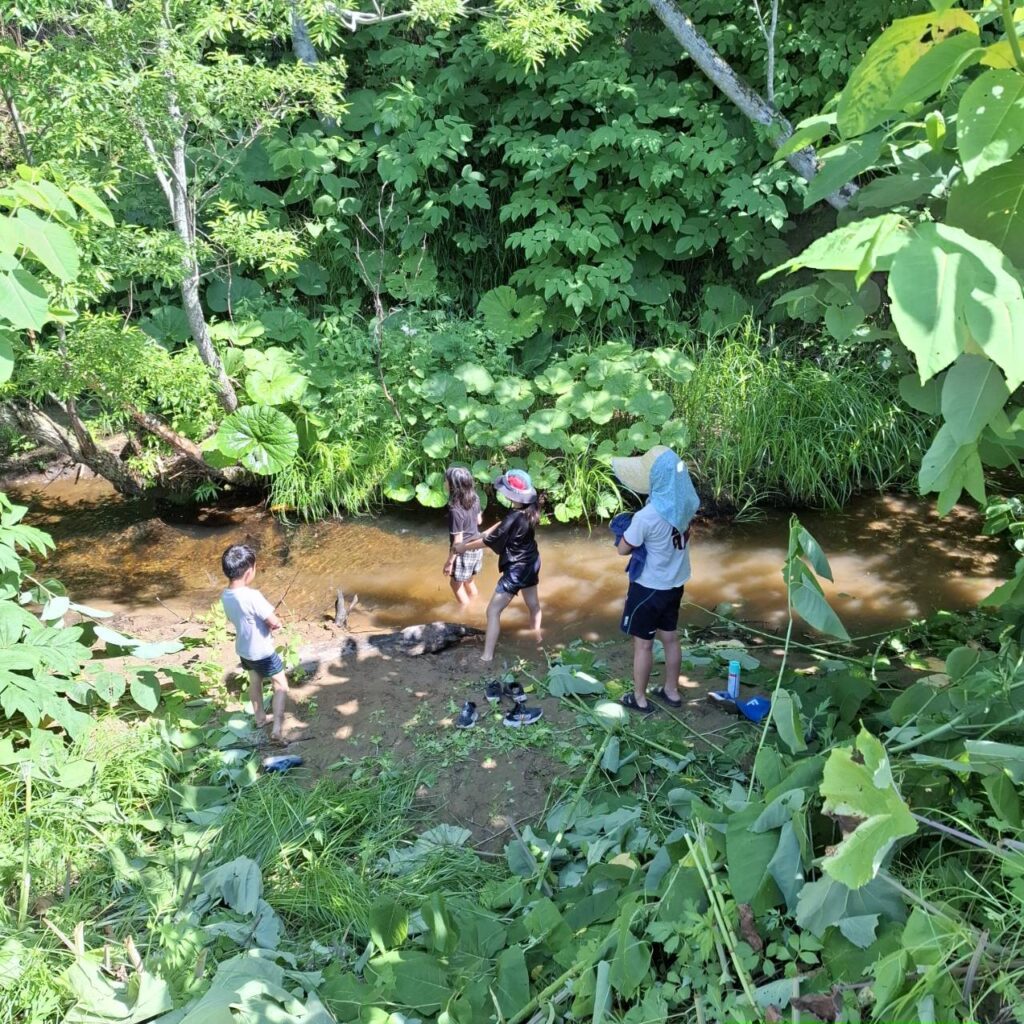 【実際の写真】　目撃した光景