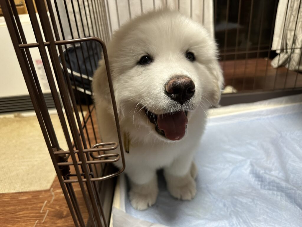 【実際の写真】8ヶ月後の現在の様子