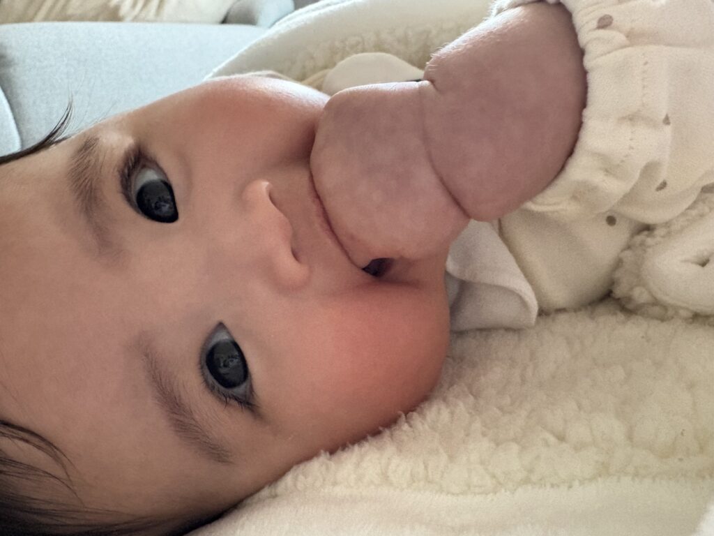 手をパクッと（＠piyopiyosan723さんより提供）